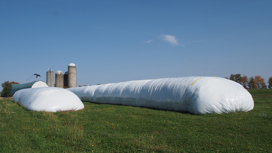 White tunnels on green grass at a farm